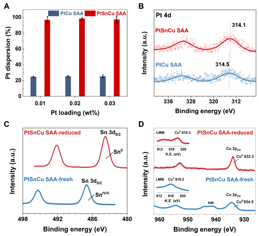 17609439691498fa89abf7cc6fe0a
